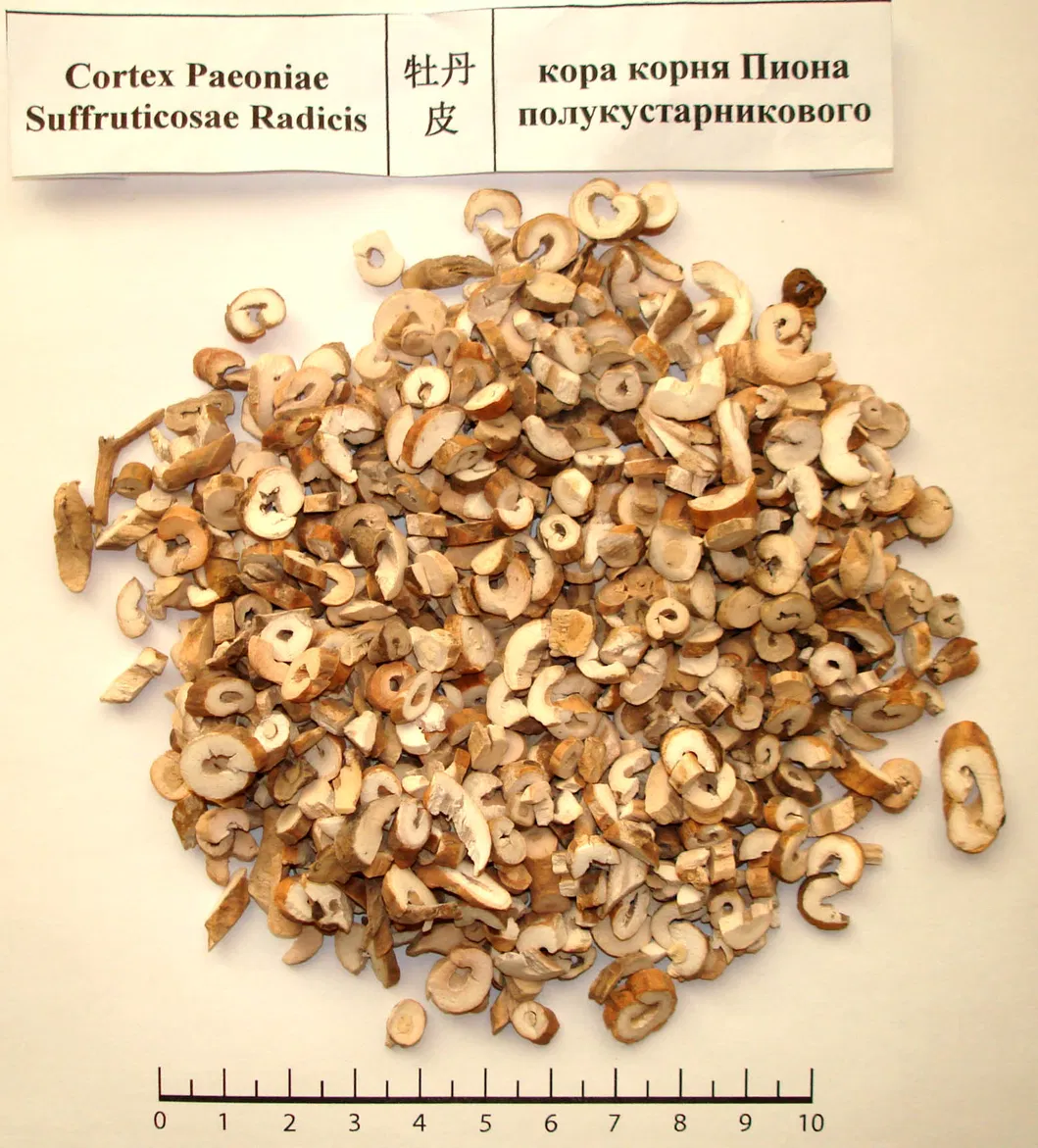 Supply Natural Herb Liuwei Dihuang Wan for Nourishing Kidney